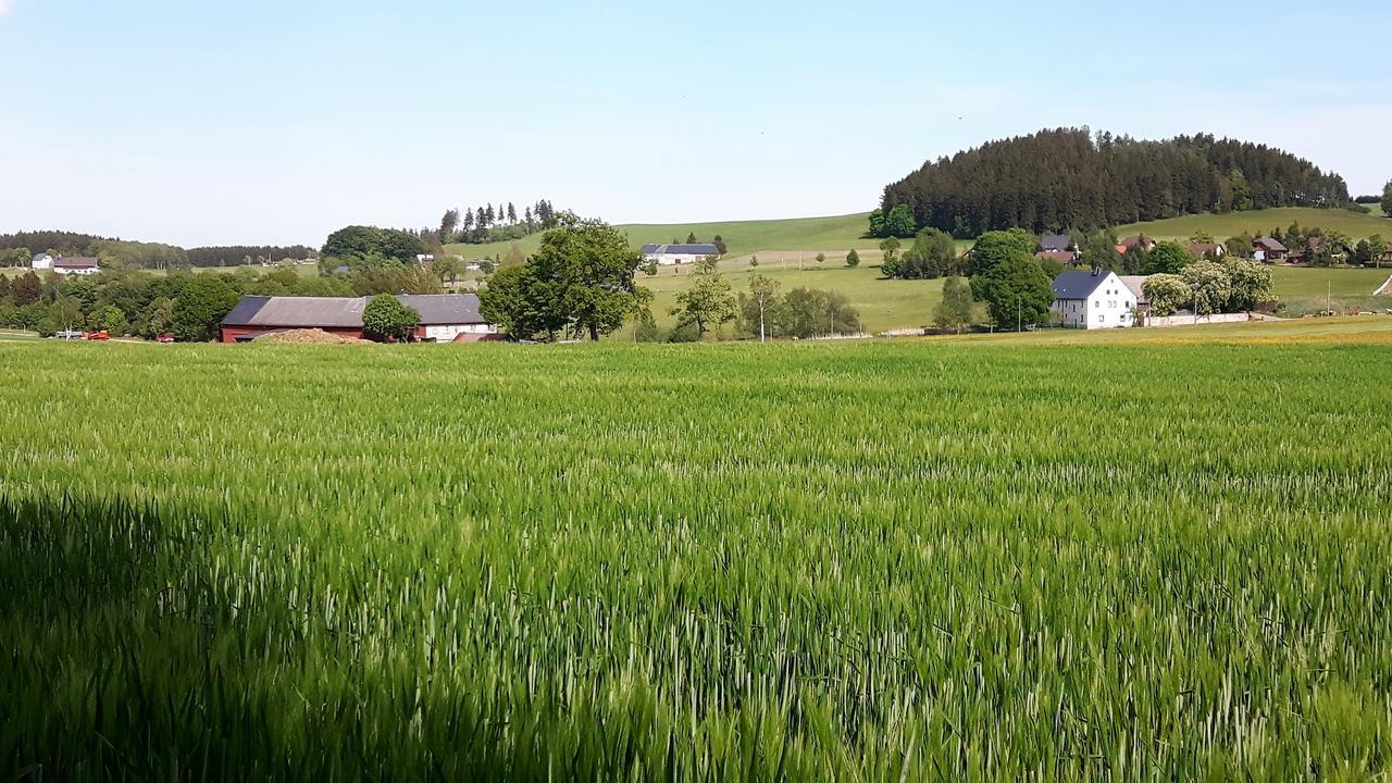 Landhotel Lichte Aue Lichtenau Stutzengrun Exterior foto
